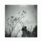 dailyPhoto2